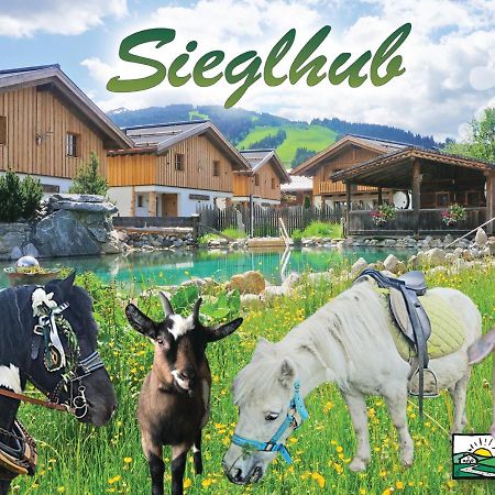 Sieglhub Chalets - Appartements - Hotel Flachau Exterior photo